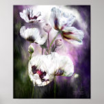 Poppy Dreams Fine Art Poster/Print Poster