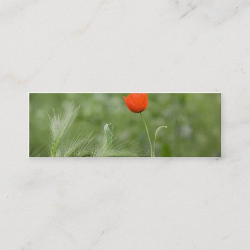 Customizable Poppy DSC2632 Business Card