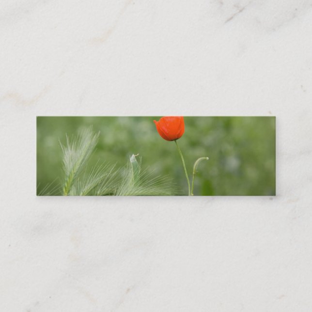 Poppy DSC2632 Mini Business Card (Front)