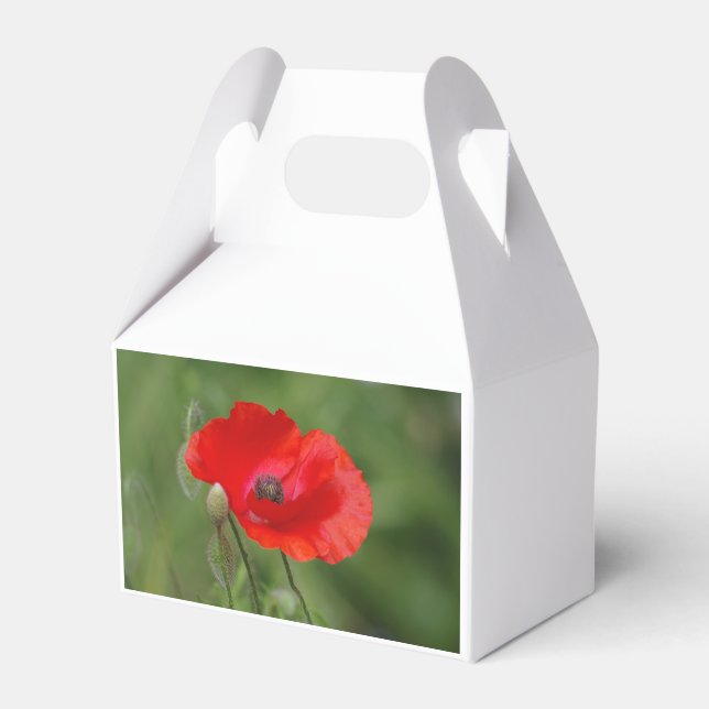 Poppy Favor Boxes (Front Side)