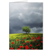 Poppy Field and Cloudy Sky (Front)
