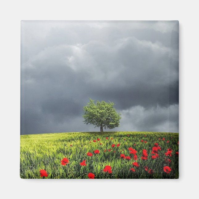 Poppy Field and Cloudy Sky Magnet (Front)
