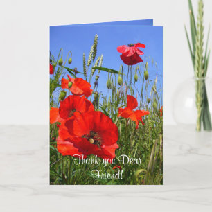 POPPY FIELD ~ Card for Friends