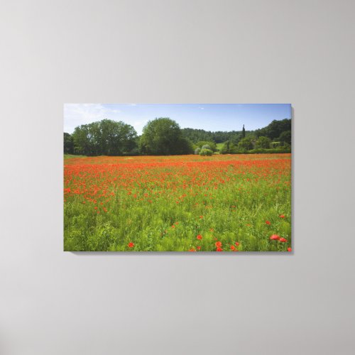 Poppy field Chiusi Italy Canvas Print