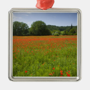 Poppy field, Chiusi, Italy Metal Ornament