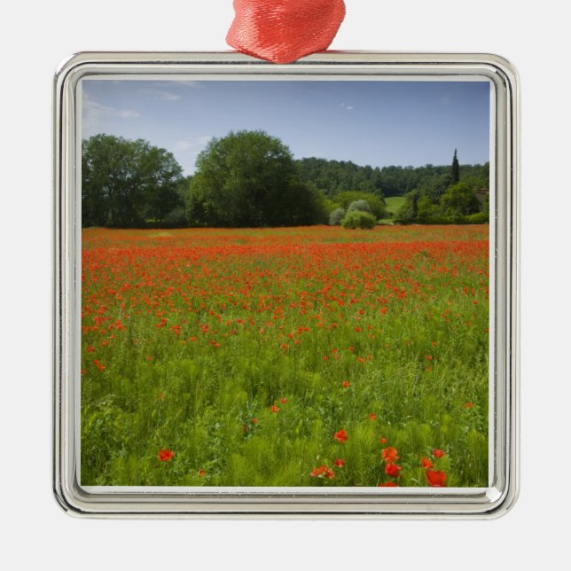 Poppy field, Chiusi, Italy Metal Ornament (Front)