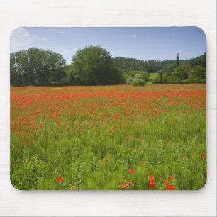 Poppy field, Chiusi, Italy Mouse Pad