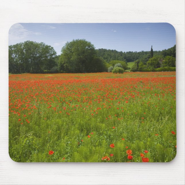 Poppy field, Chiusi, Italy Mouse Pad (Front)