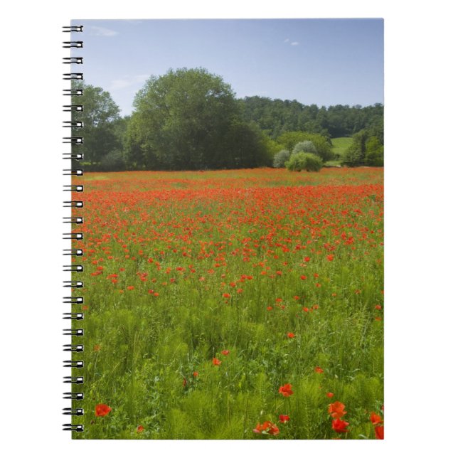 Poppy field, Chiusi, Italy Notebook (Front)