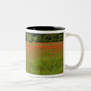 Poppy field, Chiusi, Italy Two-Tone Coffee Mug