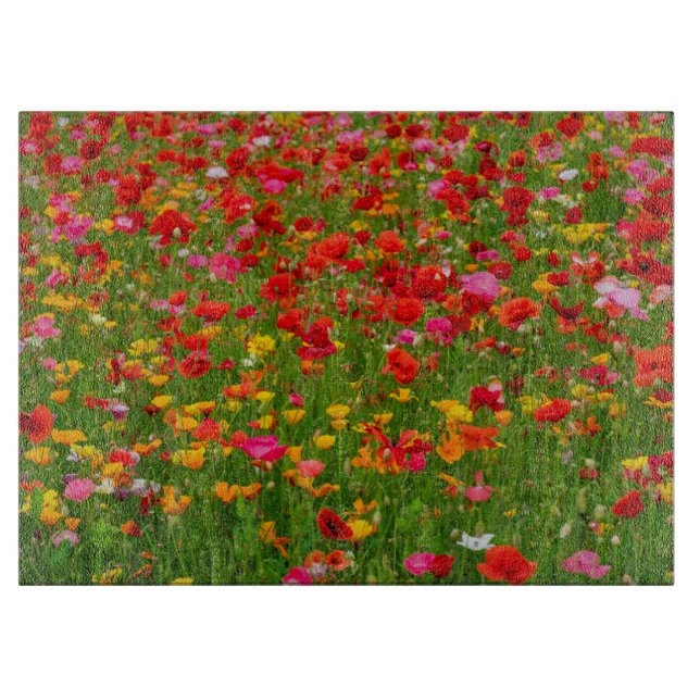 Poppy Field Glass Chopping Board (Front)