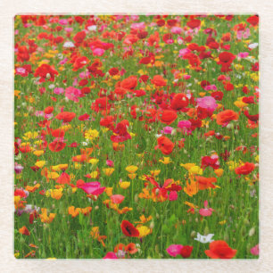 Poppy Field Glass Coaster