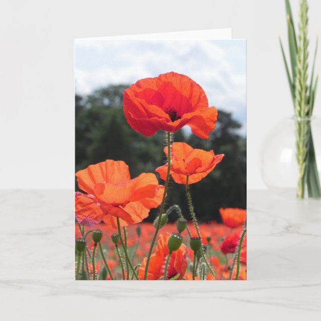 Poppy Field in Shades of Red Card (Front)