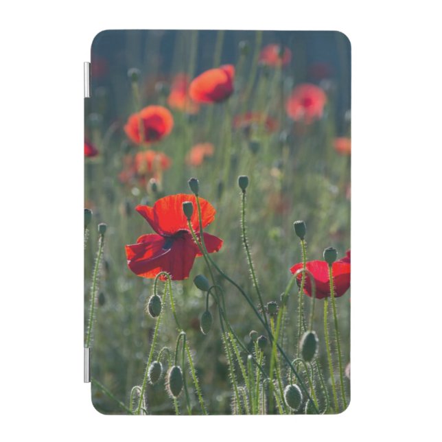 Poppy Field iPad Mini Cover (Front)