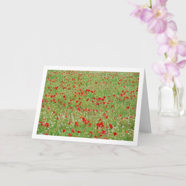 Poppy Field Landscape Card (Orchid)