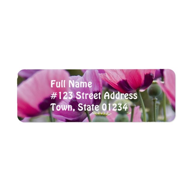 Poppy Field Mailing Label (Front)