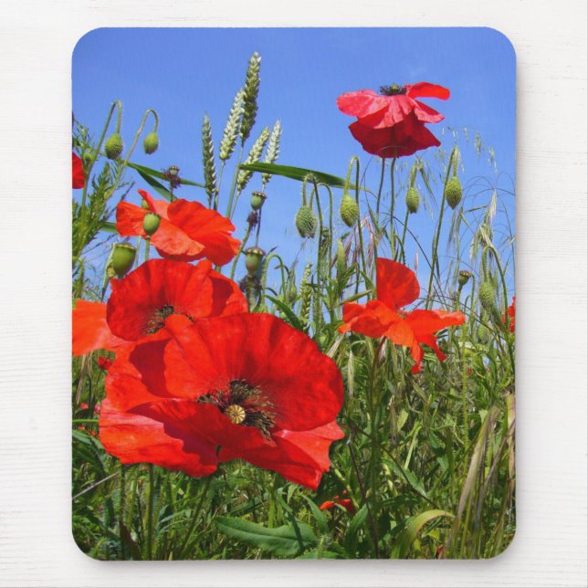 POPPY FIELD ~ Mousepad # 6 (Front)