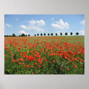 Poppy Field Poster