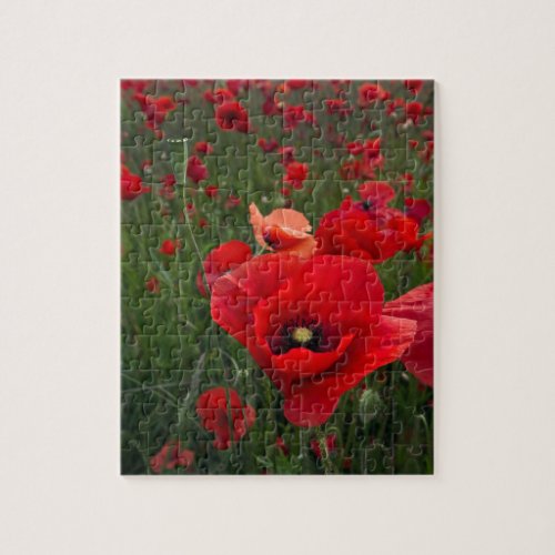 Poppy Field PuzzleJigsaw Puzzle with Tin