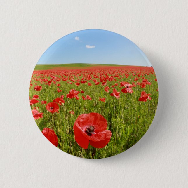 Poppy field - Stunning! Button (Front)