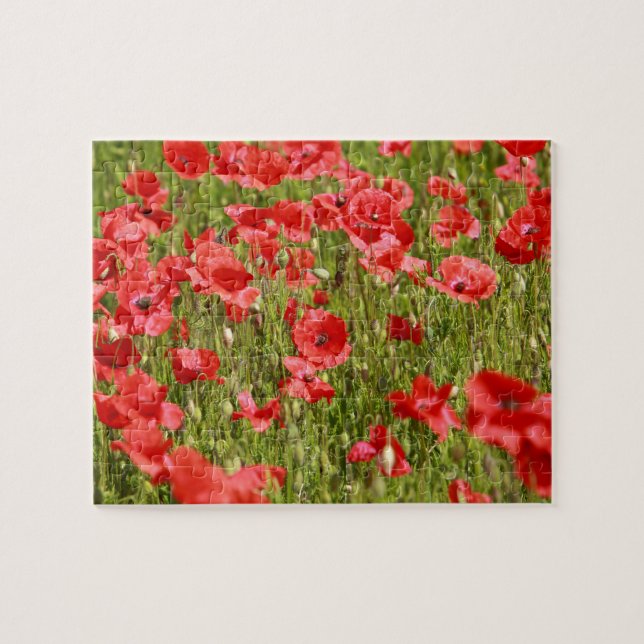 Poppy field - Stunning! Jigsaw Puzzle (Horizontal)