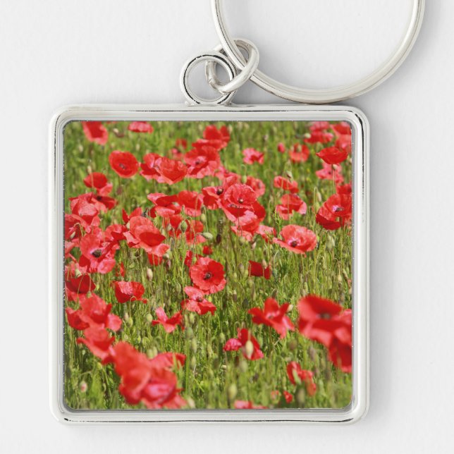 Poppy field - Stunning! Keychain (Front)