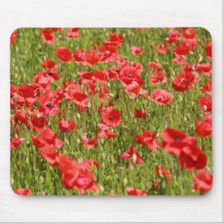 Poppy field - Stunning! Mouse Pad
