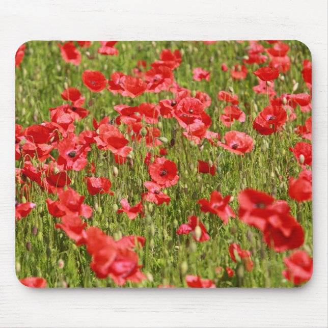 Poppy field - Stunning! Mouse Pad (Front)