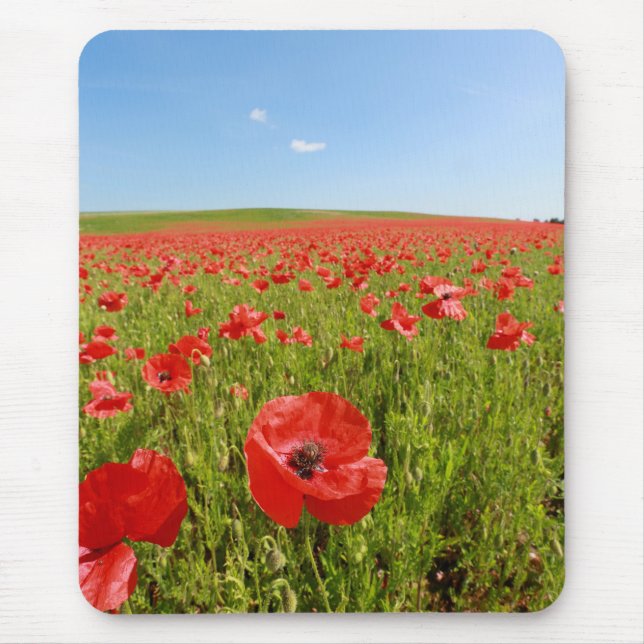 Poppy field - Stunning! Mouse Pad (Front)