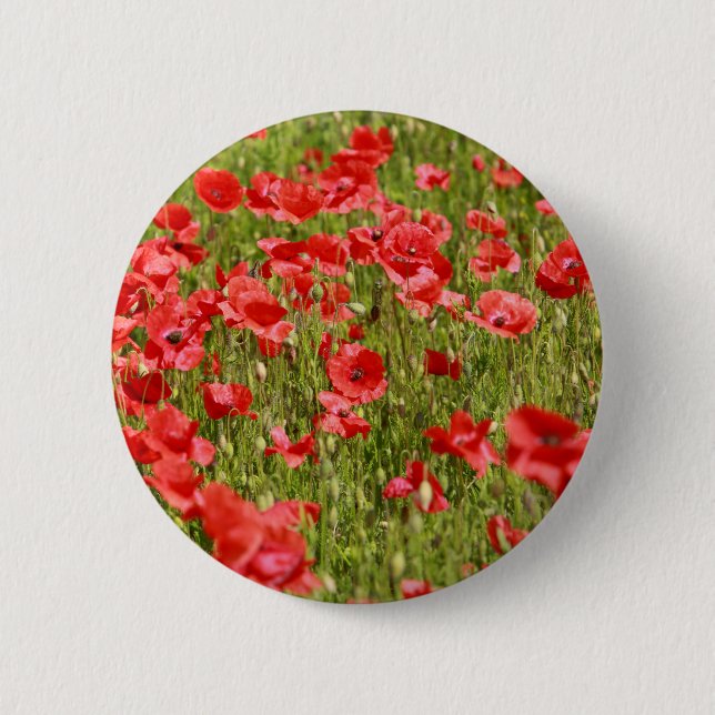 Poppy field - Stunning! Pinback Button (Front)