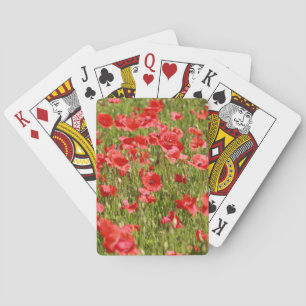 Poppy field - Stunning! Poker Cards