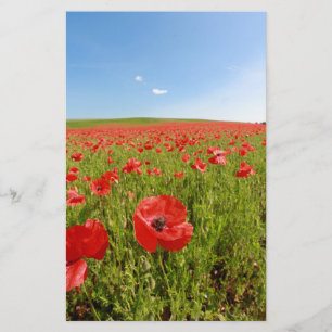 Poppy field - Stunning! Stationery