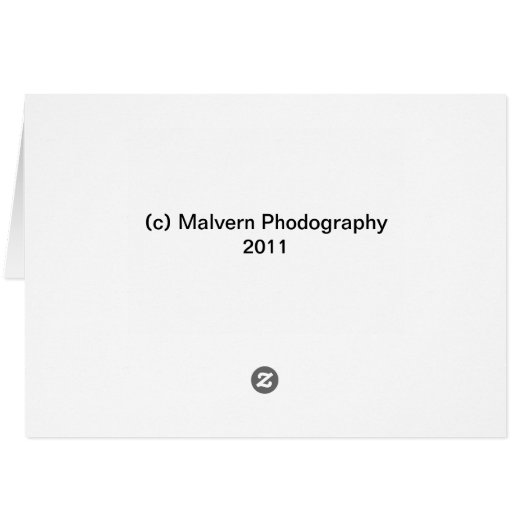 Poppy Field under a Summer Sky (Back Horizontal)