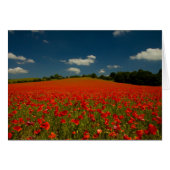 Poppy Field under a Summer Sky (Front Horizontal)