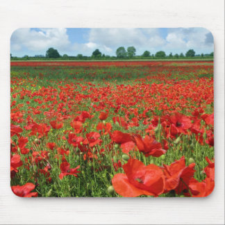 Poppy Fields Mouse Pad
