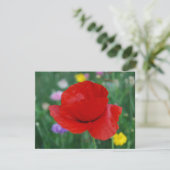 Poppy flower and meaning (Standing Front)