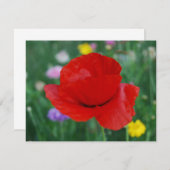 Poppy flower and meaning (Front/Back)