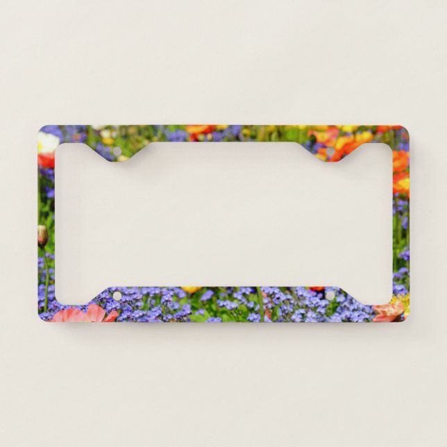 Poppy Flower Blossom Bloom Red Field Nature License Plate Frame (Front)
