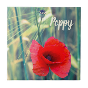 Poppy flower for gardeners and blossom lover gift ceramic tile