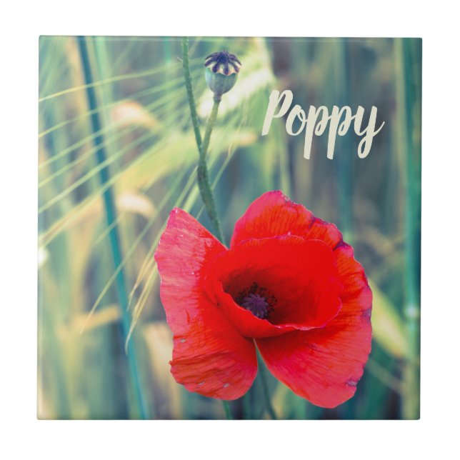 Poppy flower for gardeners and blossom lover gift ceramic tile (Front)