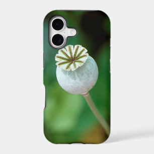 Poppy Flower Head Seed, Western Cape iPhone 17 Case
