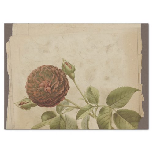 Poppy Flower on Distressed Decoupage Tissue Paper