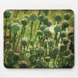 Poppy Flower Seed Pods Mouse Pad