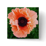 Poppy Flower Square Pin