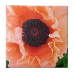 Poppy Flower Tile