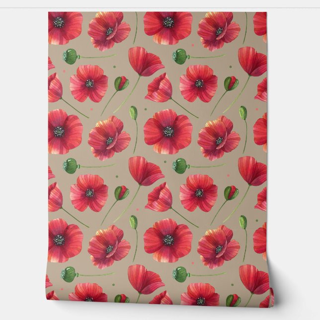 Poppy flower wallpaper  (Unrolling)