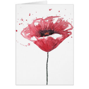 Poppy flower, watercolor