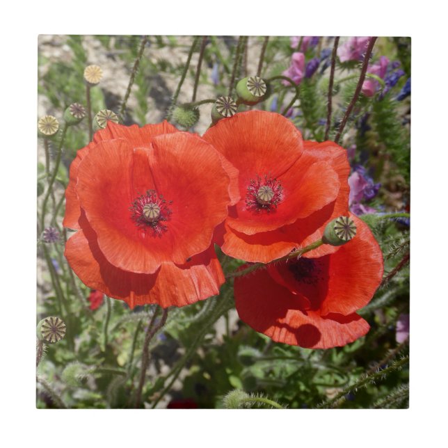 POPPY FLOWERS CERAMIC TILE (Front)