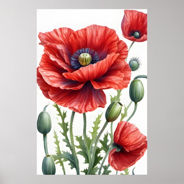 Poppy Flowers Poster - Floral Blossom Wall Art (Front)