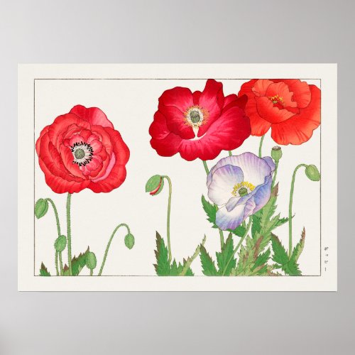Poppy Flowers Red and Purple by Tanigami Konan Poster